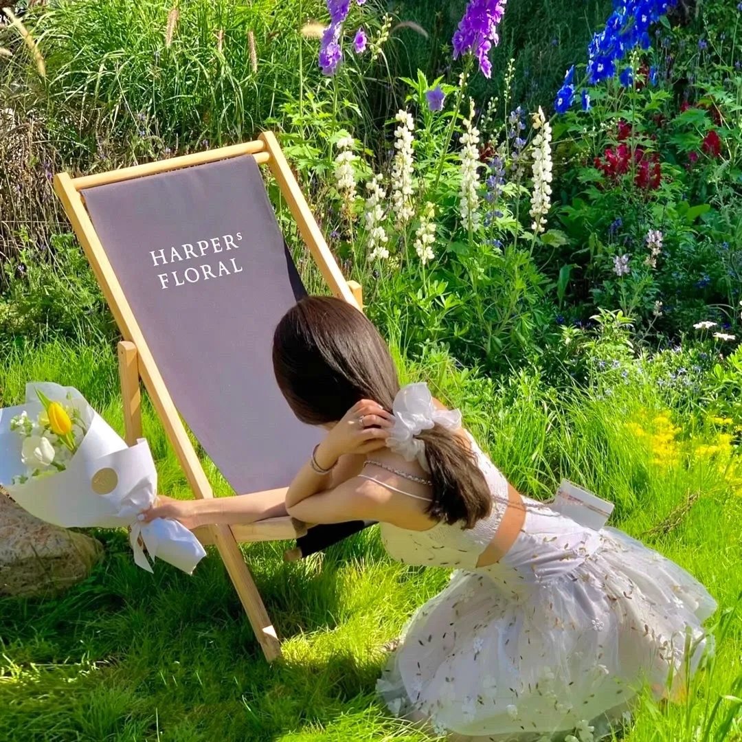 金装律师第二季