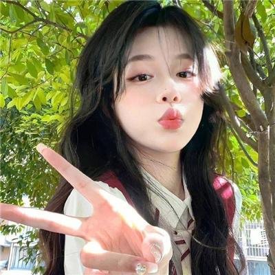 案中案